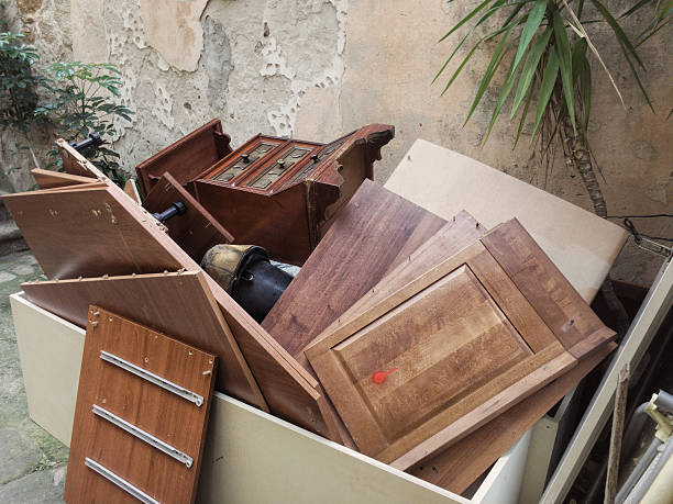 Yard Cleanup Services in Pendleton, SC